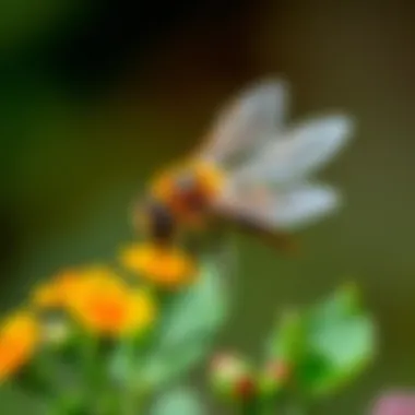 Art Projects Inspired by Bees and Nature Creative art projects inspired by bees and nature