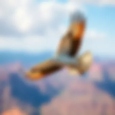 Majestic Bird in Flight An artistic representation of a majestic bird soaring through the sky, symbolizing freedom.