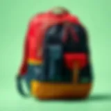 Stylish school backpack for boys